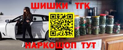 стаф Гатчина