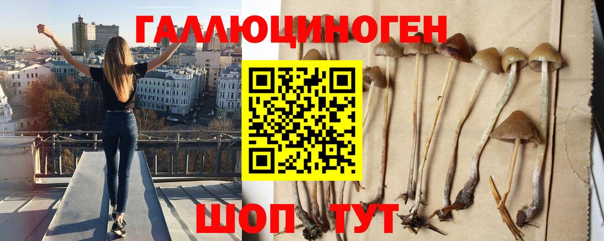 Псилоцибиновые грибы MAGIC MUSHROOMS  Псилоцибиновые грибы Psilocybine cubensis  Белорецк  Вход с VPN 