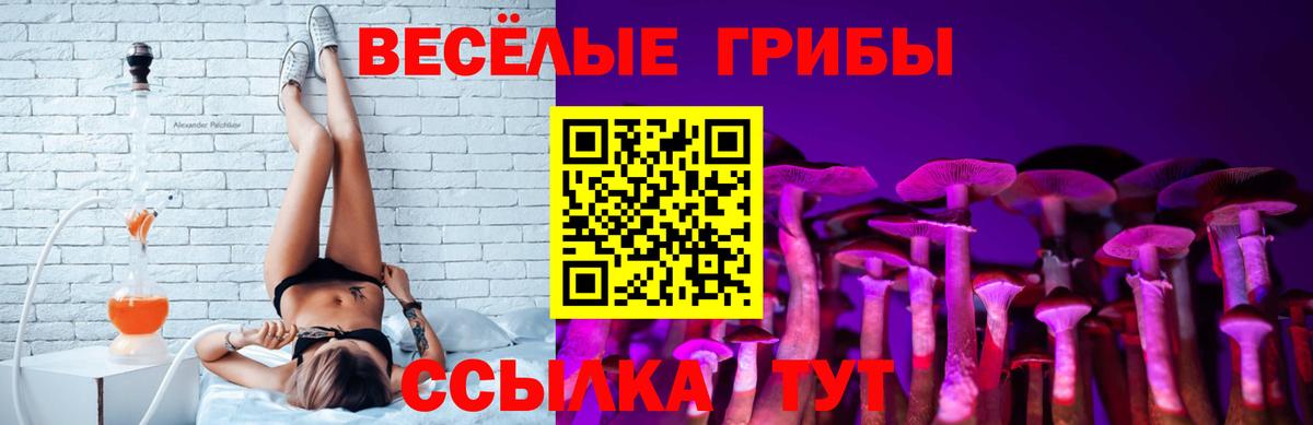 Галлюциногенные грибы Psilocybine cubensis Белорецк